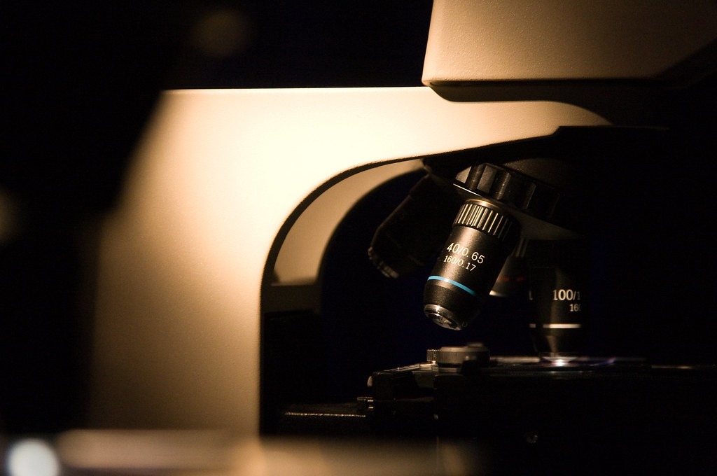 Drug Resistance Mechanisms